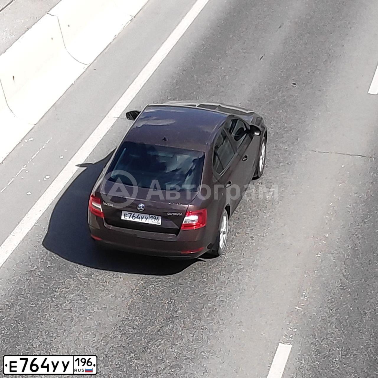 Фото автомобиля SKODA OCTAVIA, 2017 — госномер Е764УУ196. Цвет: Коричневый