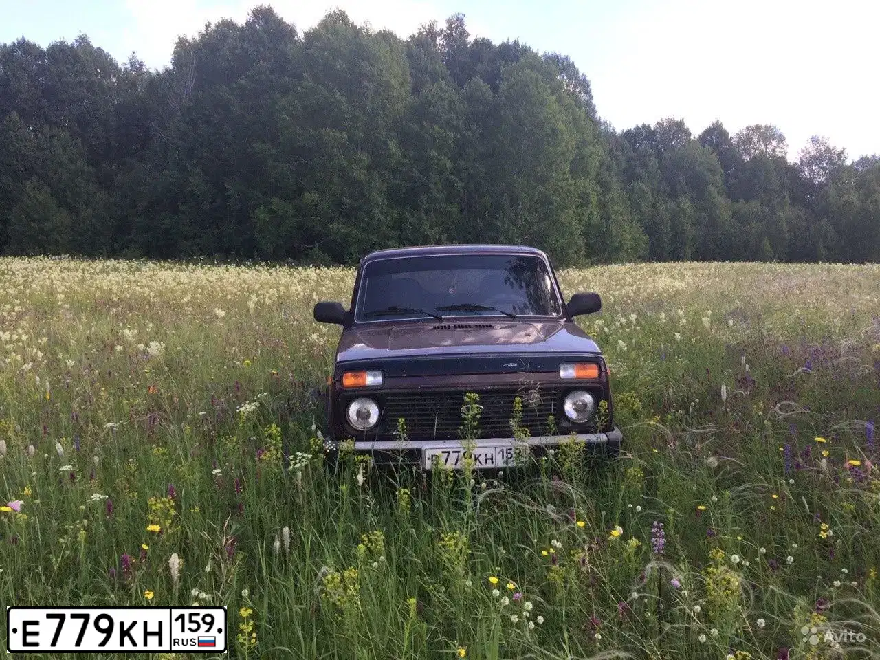 Фото автомобиля BMW X5, 2009 — госномер Н422АХ196. Цвет: ЧЕРНЫЙ