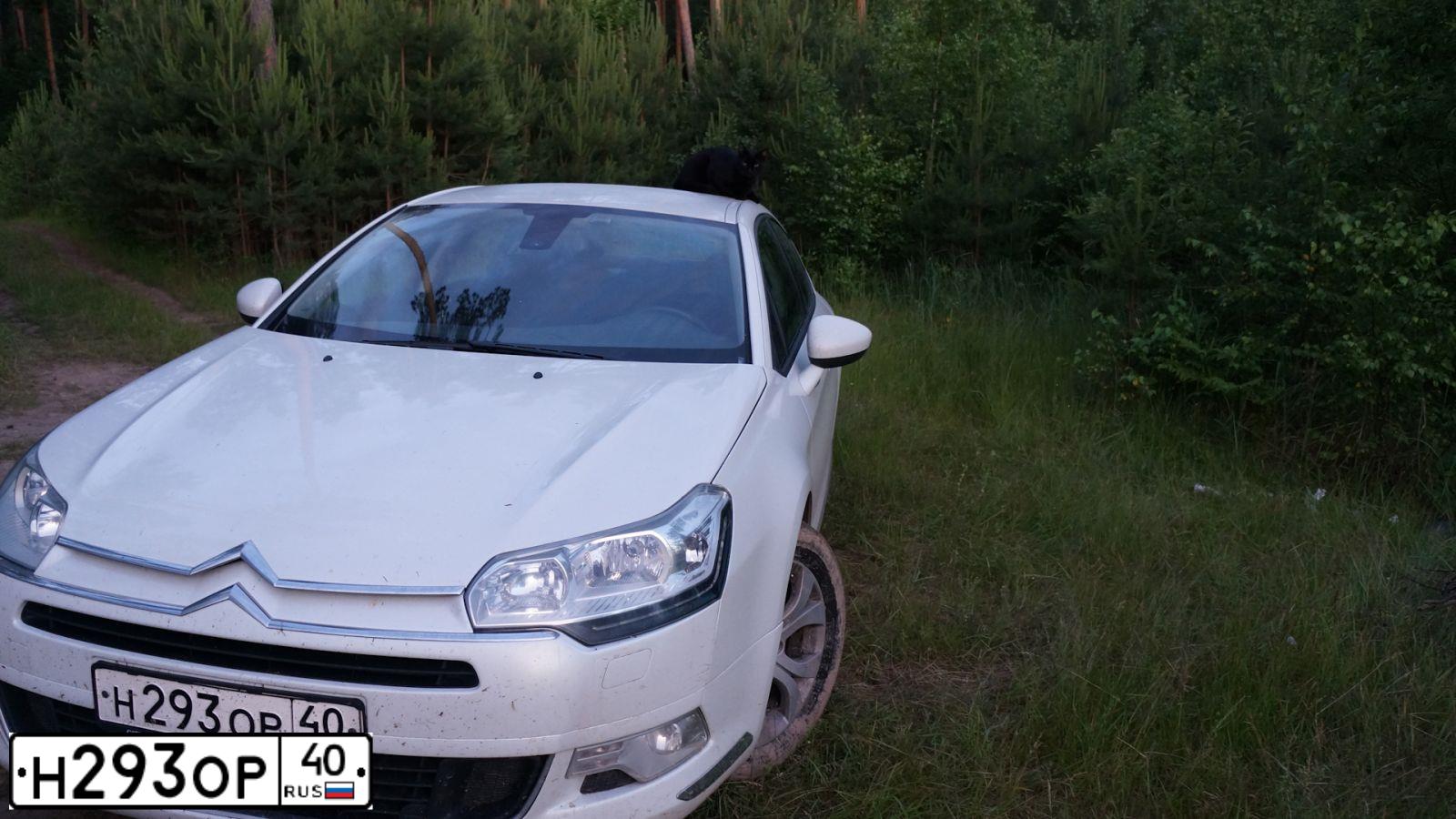 Фото автомобиля CITROEN C5, 2012 — госномер М290КВ67. Цвет: Белый