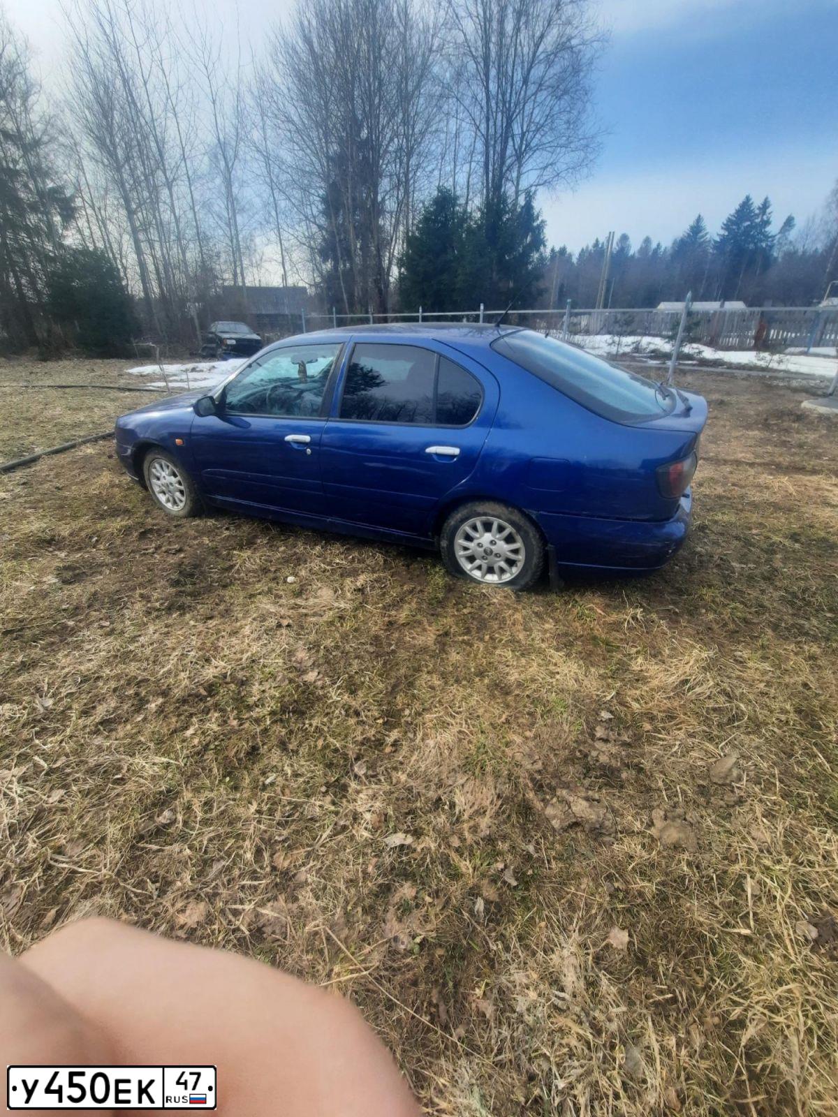 Фото автомобиля NISSAN PRIMERA, 2000 — госномер У450ЕК47. Цвет: СИНИЙ