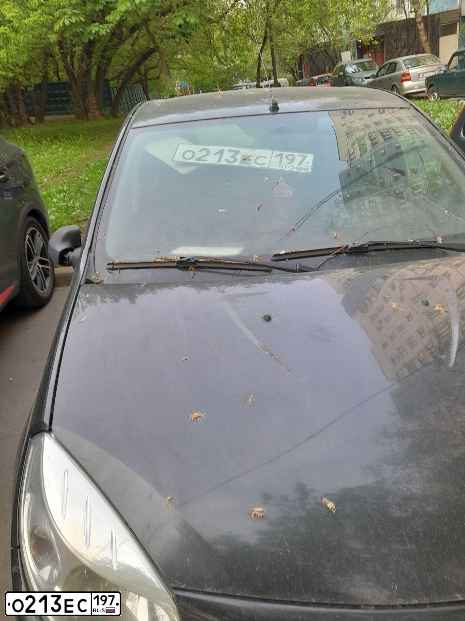 Фото автомобиля RENAULT SANDERO, 2010 — госномер О213ЕС197. Цвет: ЧЕРНЫЙ