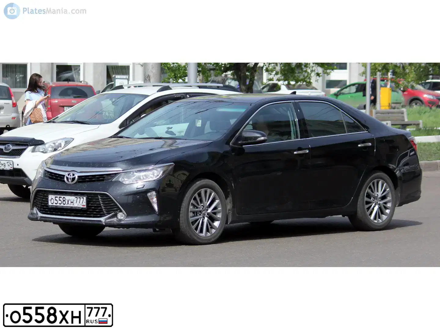 Фото автомобиля TOYOTA CAMRY, 2017 — госномер М308ТА124