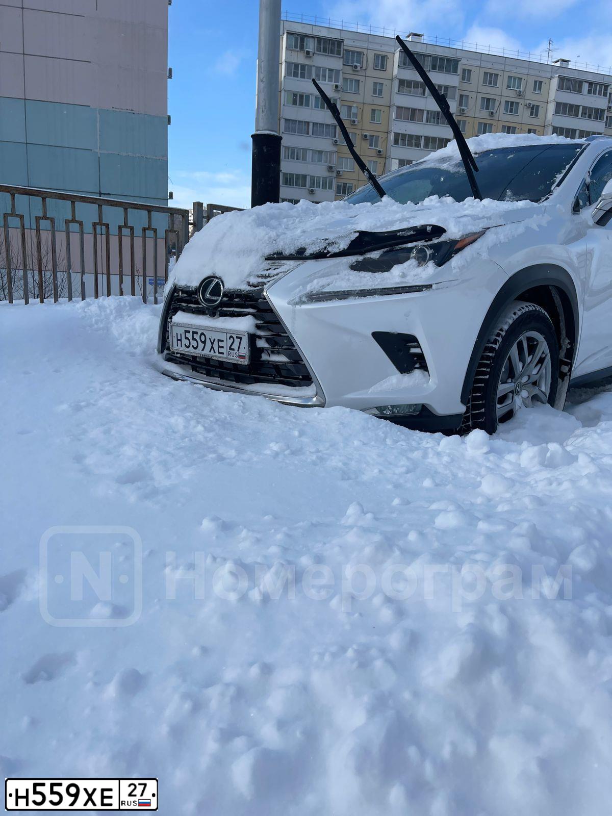 Фото автомобиля LEXUS NX, 2017 — госномер Н559ХЕ27. Цвет: Белый