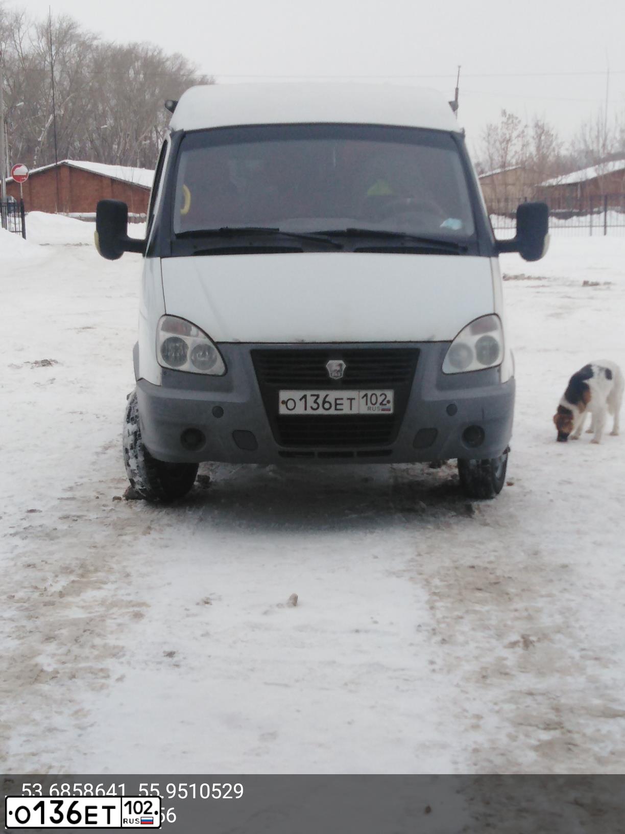 Фото автомобиля GAZ 3221 EL, 2012 — госномер О136ЕЕ102. Цвет: Белый