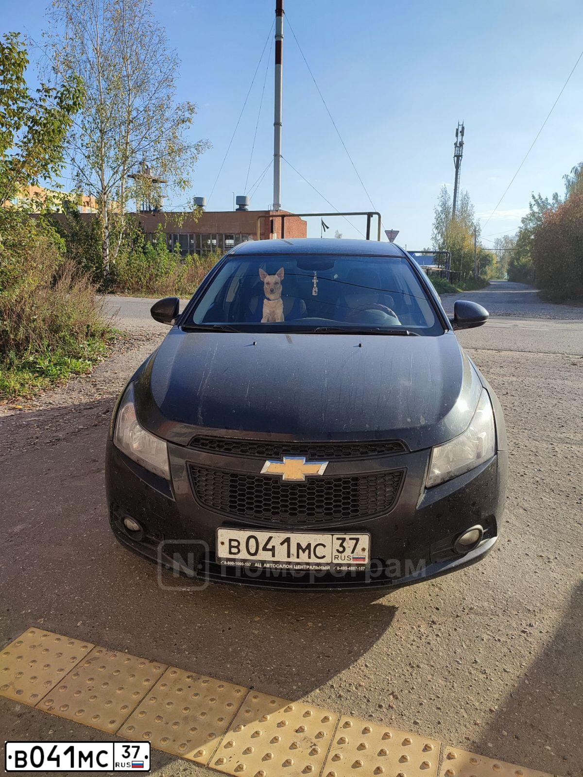 Фото автомобиля CHEVROLET CRUZE, 2012 — госномер В041МС37. Цвет: ЧЕРНЫЙ МЕТАЛЛИК