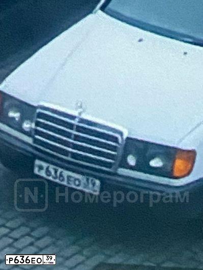 Фото автомобиля MERCEDES E-KLASSE, 1989 — госномер Р636ЕО39. Цвет: БЕЛЫЙ