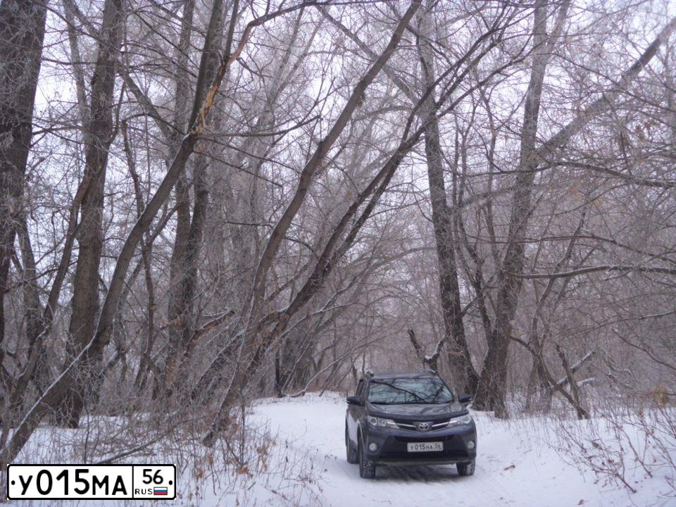 Фото автомобиля OPEL CORSA, 2009 — госномер Е154ТН156. Цвет: БЕЛЫЙ