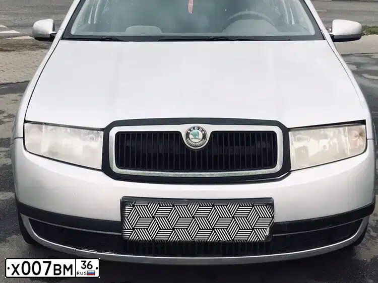 Фото автомобиля SKODA FABIA, 2002 — госномер Х007ВМ77. Цвет: СЕРЕБРИСТЫЙ