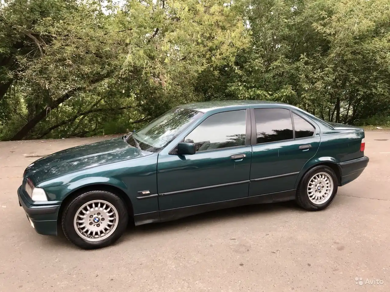 Фото автомобиля BMW SERIE 3, 1996 — госномер С242ВР39. Цвет: Темно-зеленый