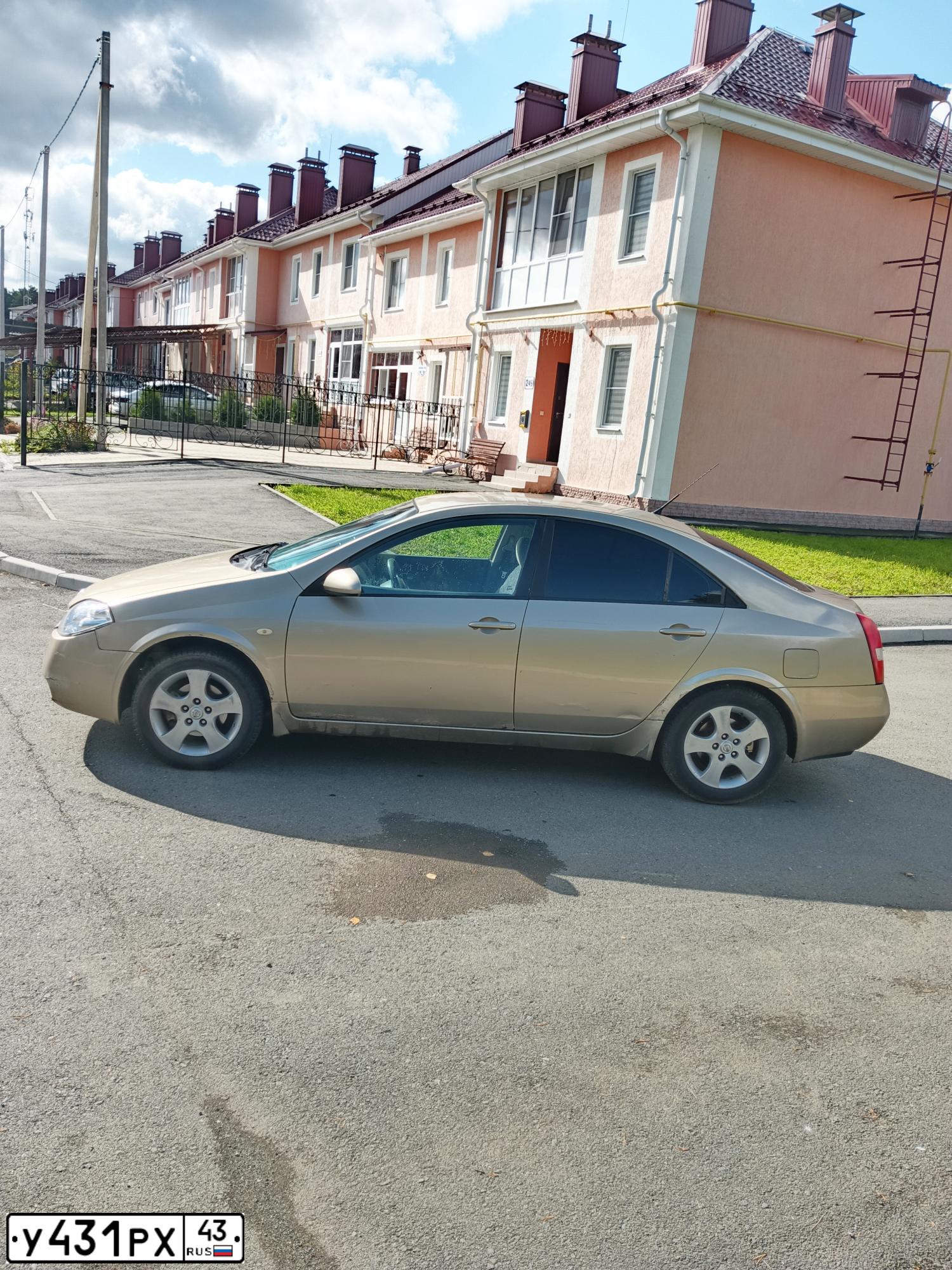Фото автомобиля NISSAN PRIMERA, 2003 — госномер У431РХ43. Цвет: ЗОЛОТИСТЫЙ