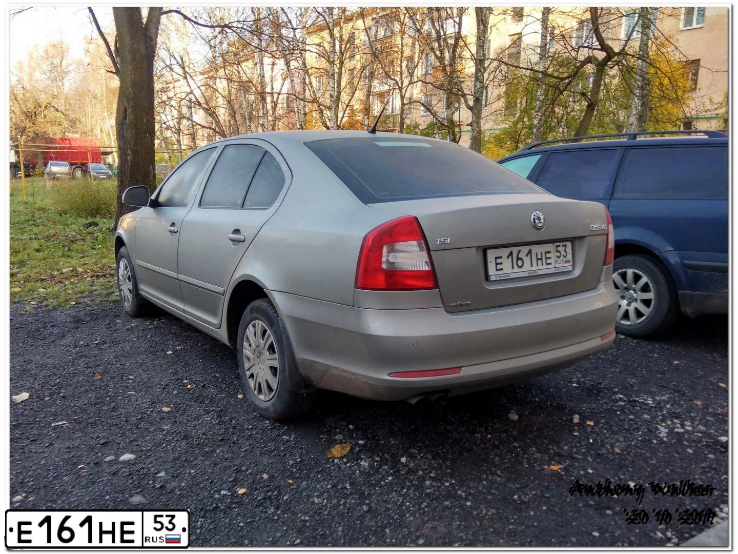 Фото автомобиля SKODA OCTAVIA, 2009 — госномер К144ОК53. Цвет: Серый
