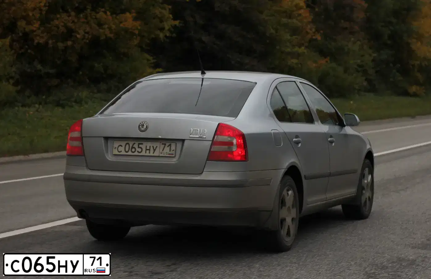 Фото автомобиля SKODA OCTAVIA, 2005 — госномер С065НУ71. Цвет: СЕРО-ГОЛУБОЙ
