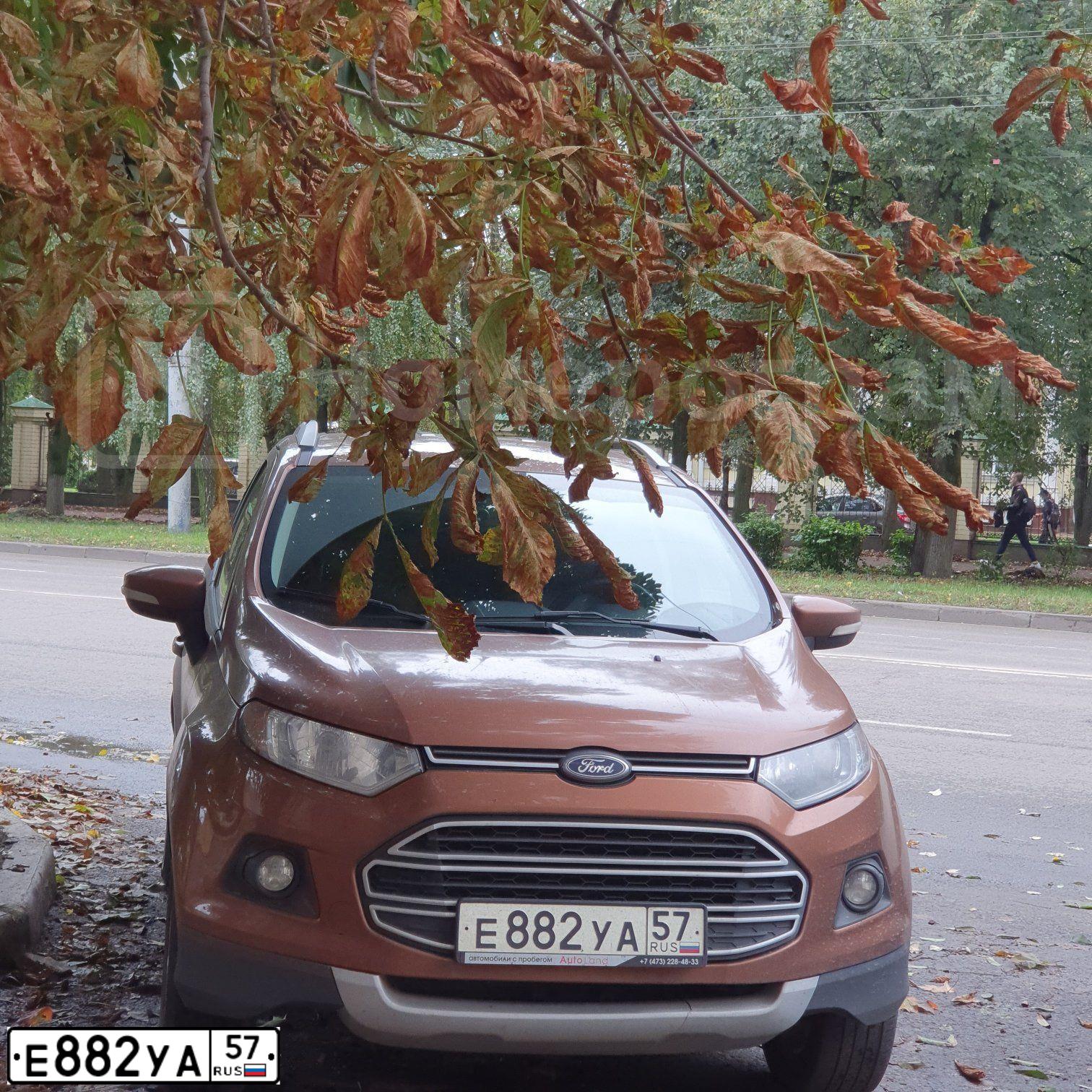 Фото автомобиля FORD ECOSPORT, 2016 — госномер Е882УА57. Цвет: Коричневый