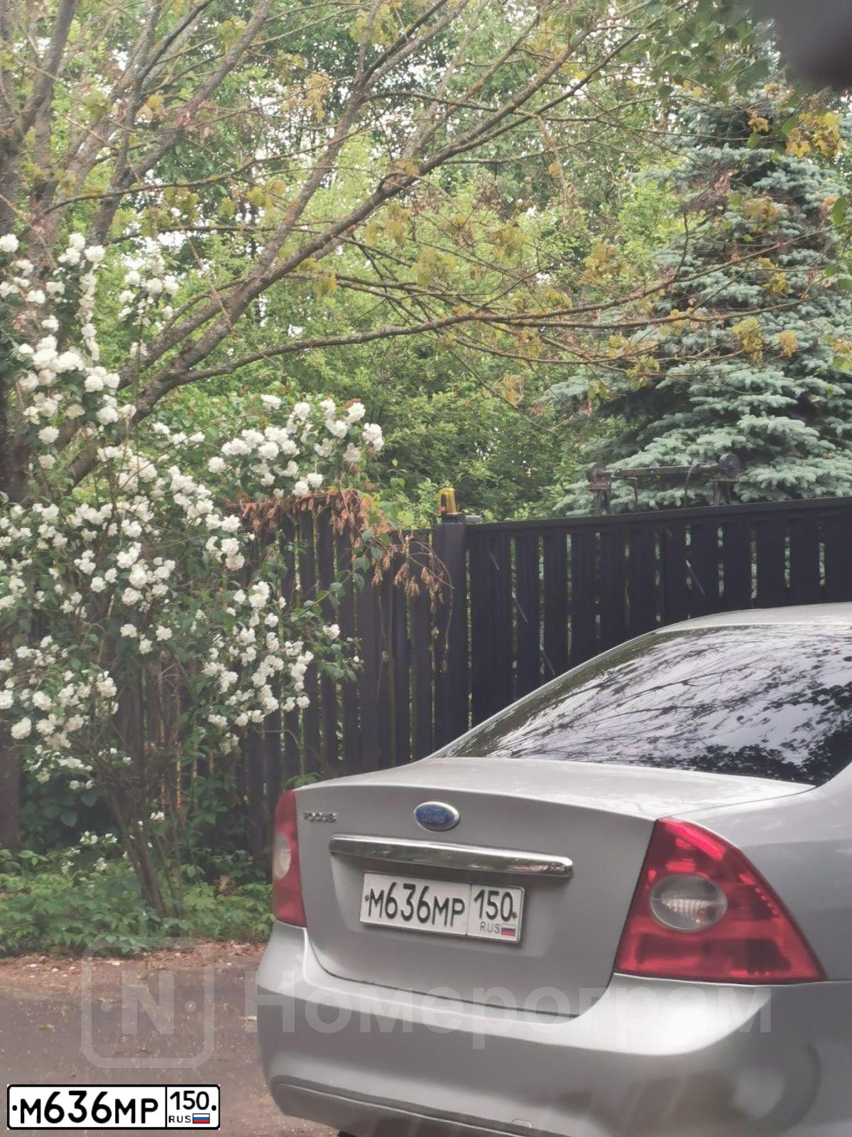 Фото автомобиля FORD FOCUS, 2009 — госномер М636МР150. Цвет: СЕРЫЙ