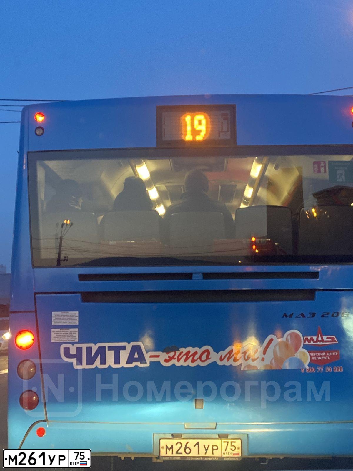 Фото автомобиля MAZ 206 - 226, 2020 — госномер М261УР75. Цвет: СЕРО-ГОЛУБОЙ