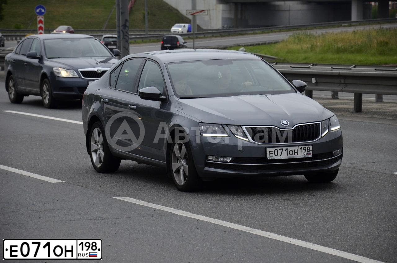 Фото автомобиля SKODA OCTAVIA, 2019 — госномер Е071ОН198. Цвет: СЕРЫЙ