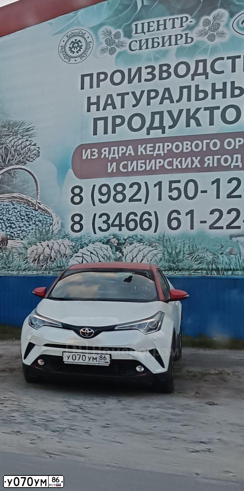 Фото автомобиля TOYOTA C-HR, 2019 — госномер У070УМ86. Цвет: БЕЛЫЙ