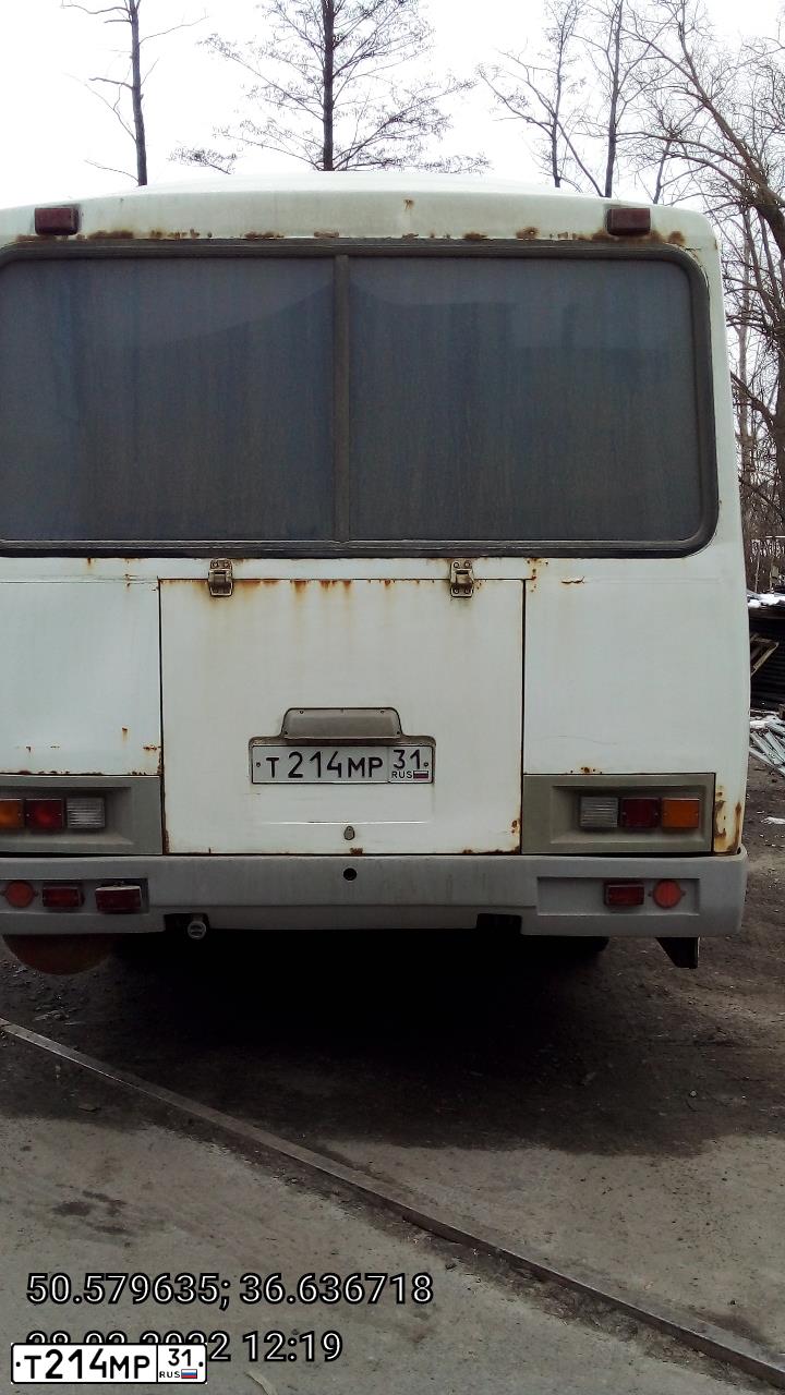 Фото автомобиля PAZ 3205, 2009 — госномер Т214МР31. Цвет: БЕЛЫЙ