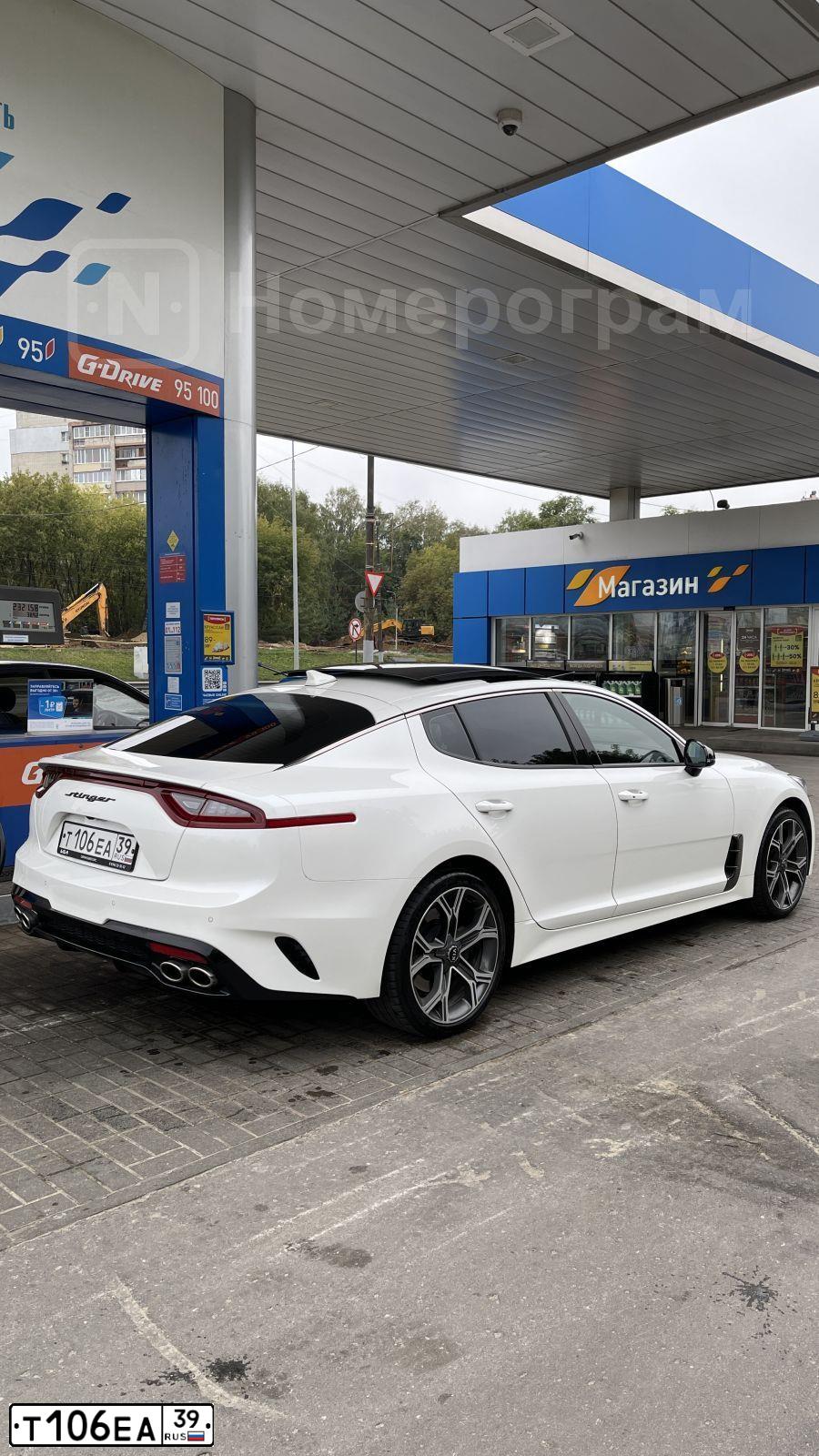 Фото автомобиля KIA STINGER, 2018 — госномер С543ТТ18