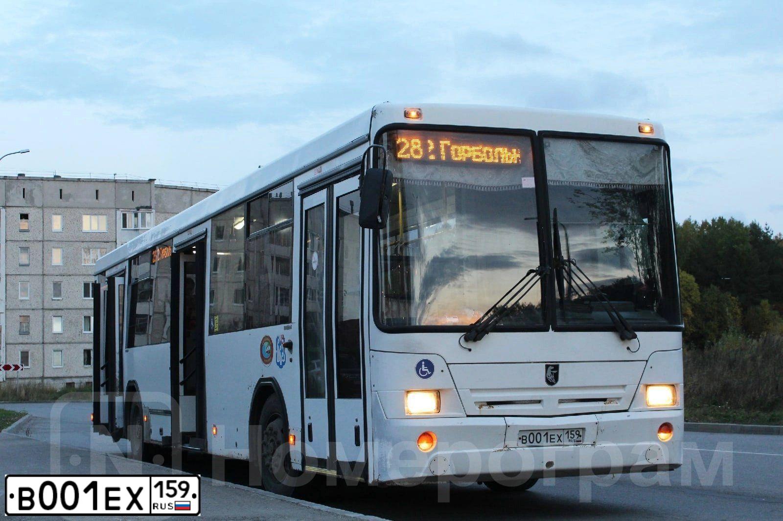 Фото автомобиля NEFAZ 5299, 2012 — госномер Т830АХ159. Цвет: Белый
