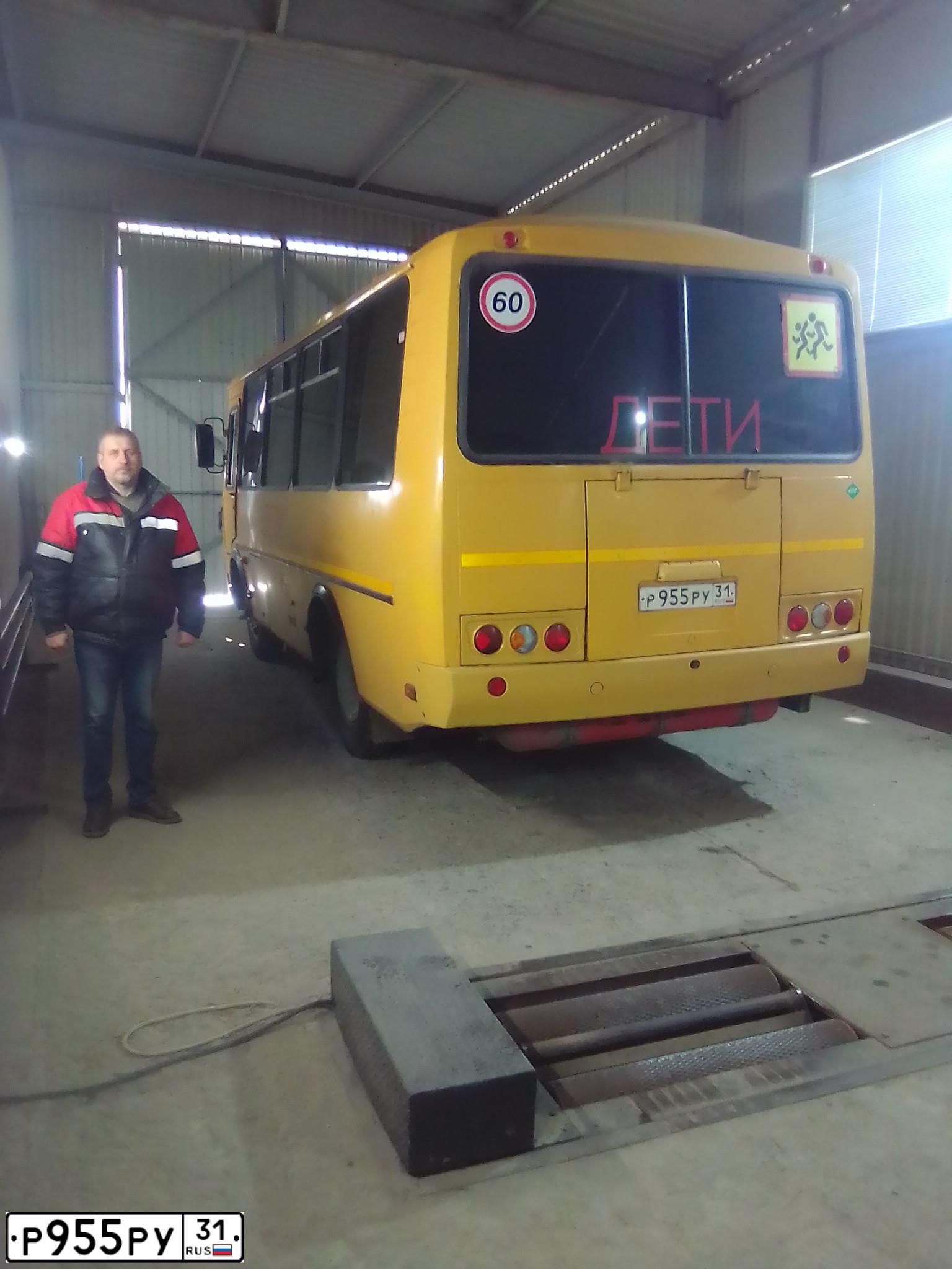 Фото автомобиля PAZ 3205, 2016 — госномер Р955РУ31. Цвет: ЖЁЛТЫЙ