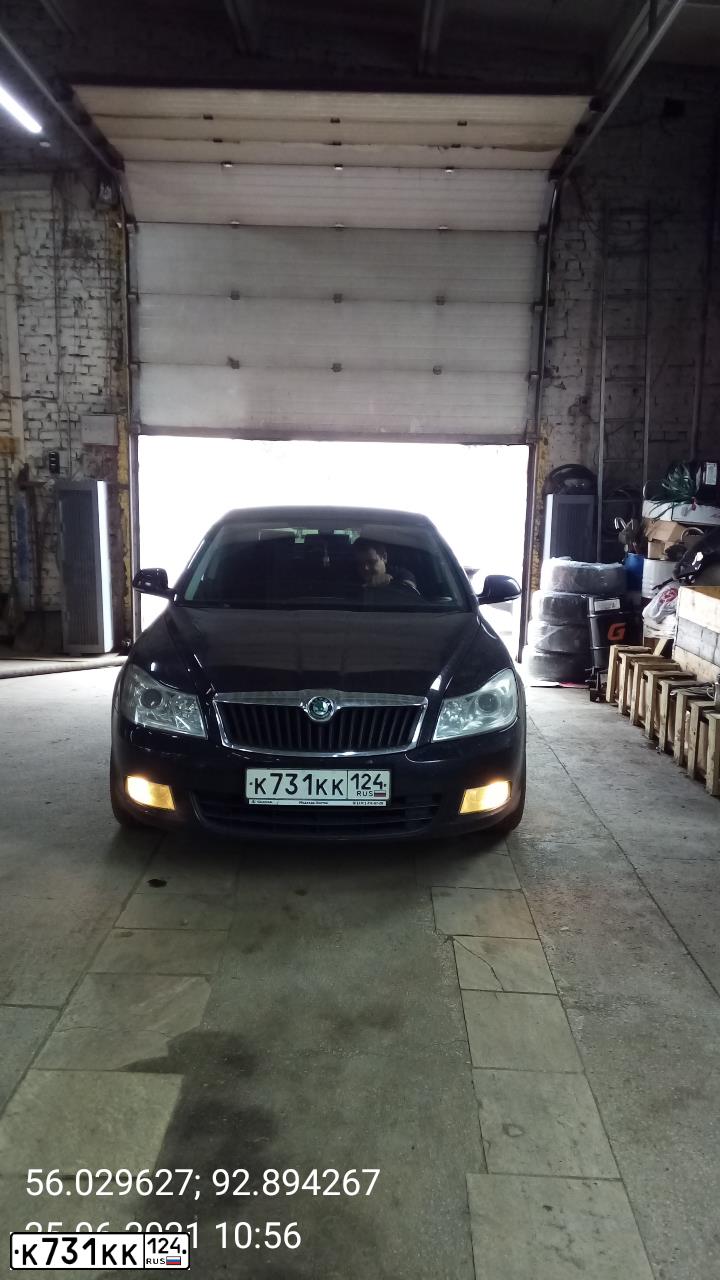Фото автомобиля SKODA OCTAVIA, 2012 — госномер К731КК124. Цвет: ЧЕРНЫЙ