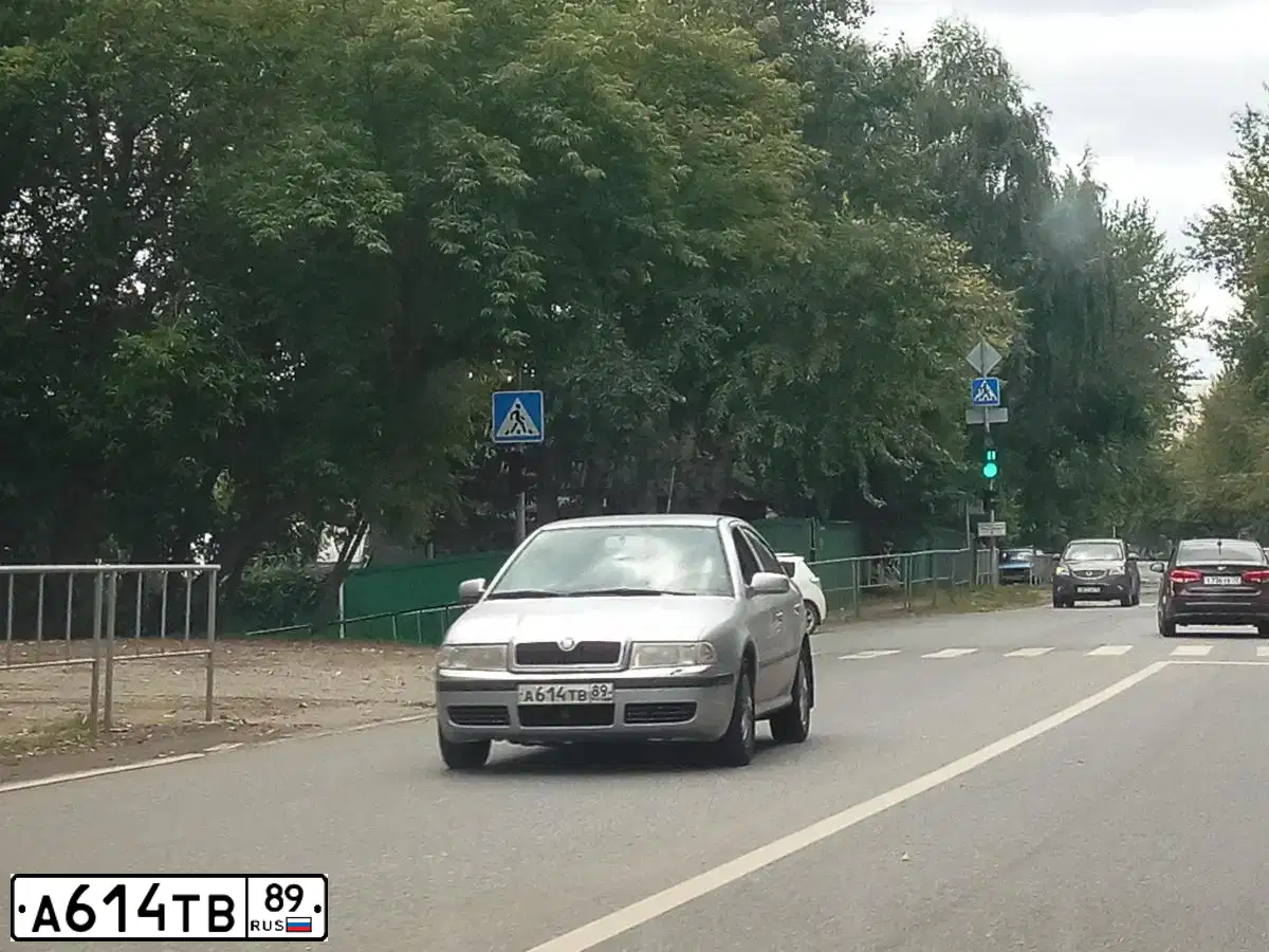 Фото автомобиля SKODA OCTAVIA, 2008 — госномер В719ВР89. Цвет: СЕРЕБРИСТЫЙ