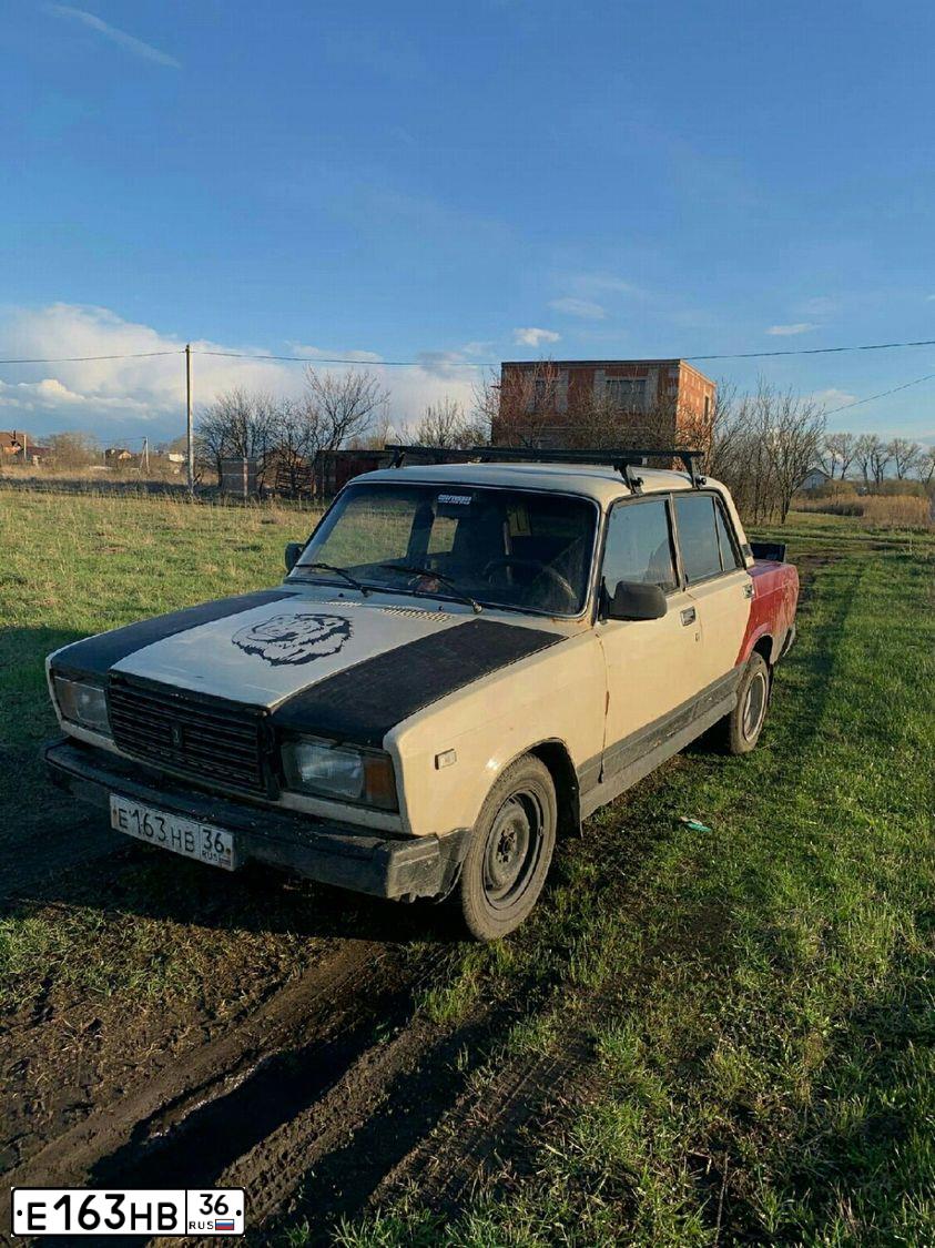 Фото автомобиля LADA 2109 SAMARA, 2002 — госномер Е162НВ36. Цвет: ЗОЛОТИСТО-СЕРЫЙ