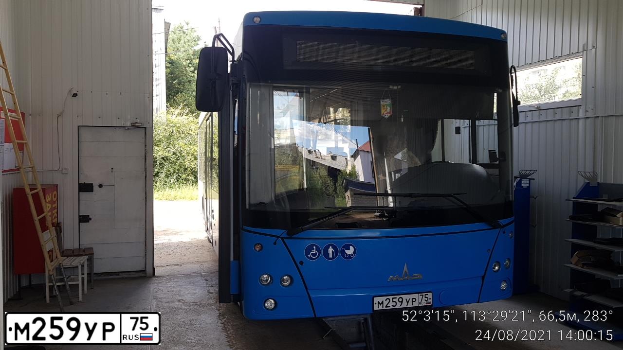 Фото автомобиля MAZ 206 - 226, 2020 — госномер М259УР75. Цвет: СЕРО-ГОЛУБОЙ