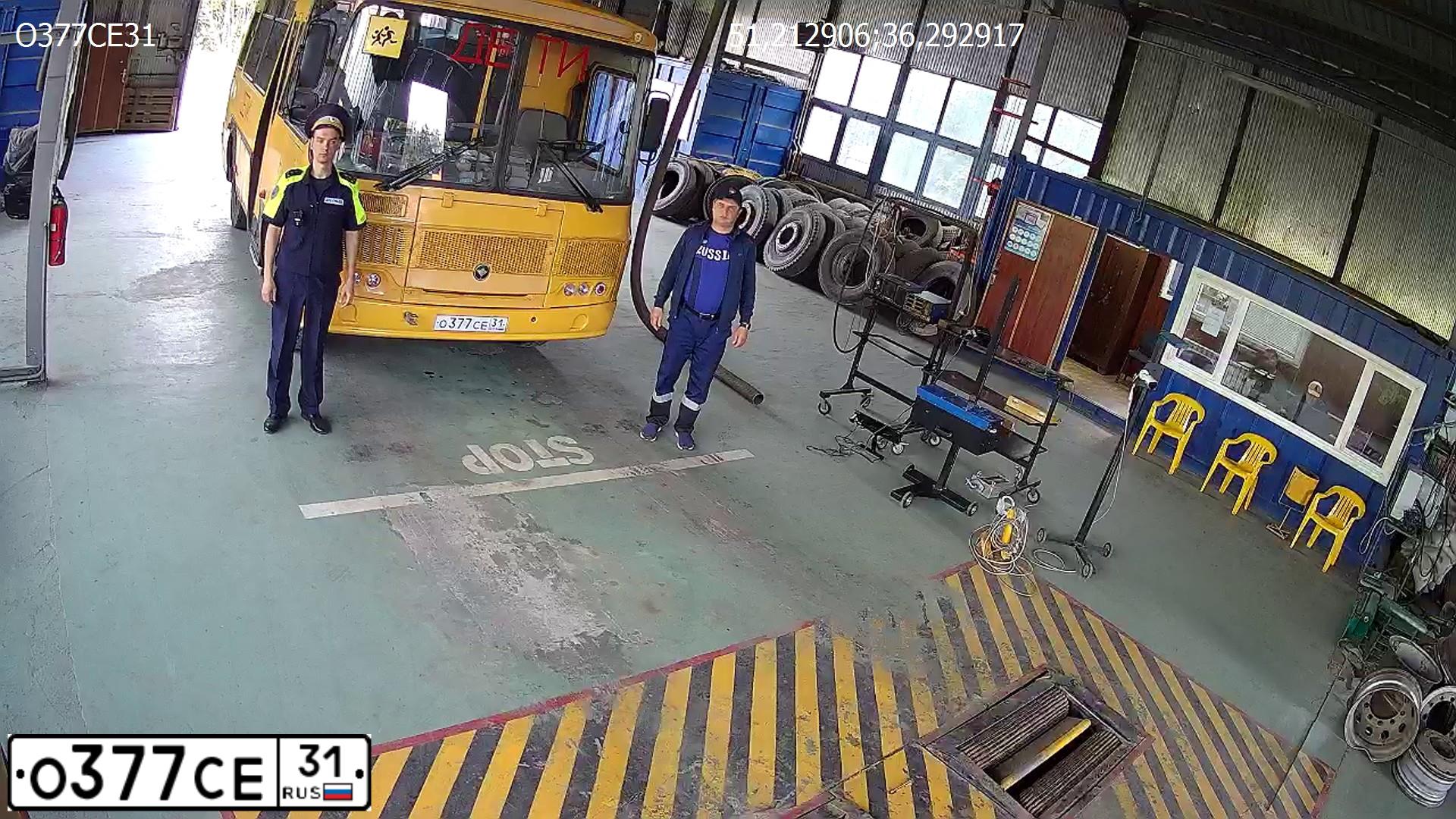 Фото автомобиля PAZ 3205, 2015 — госномер О377СЕ31. Цвет: ЖЕЛТЫЙ