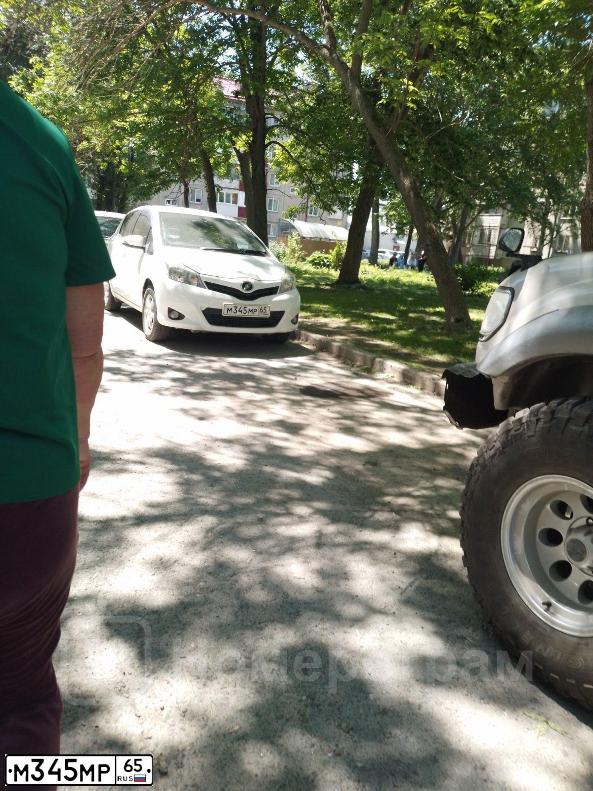 Фото автомобиля UAZ 3909, 2013 — госномер М345РМ65. Цвет: БЕЛАЯ НОЧЬ