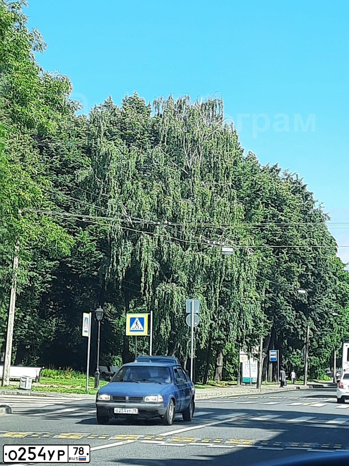 Фото автомобиля AZLK MOSKWITSCH 2141, 1999 — госномер О254УР78. Цвет: ТЕМНО-СИНИЙ