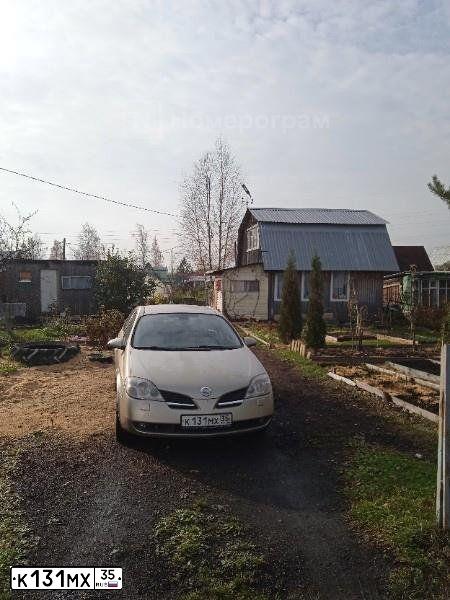 Фото автомобиля NISSAN PRIMERA, 2004 — госномер К131МХ35. Цвет: БЕЖЕВЫЙ
