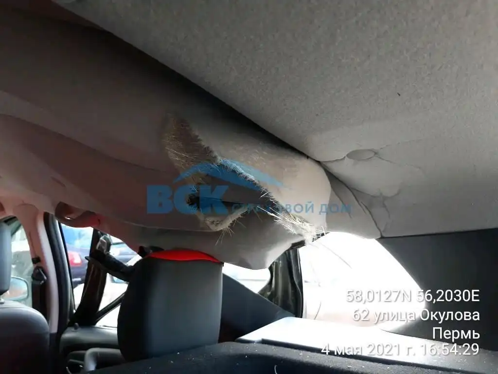 Фото автомобиля RENAULT DUSTER, 2019 — госномер О121СХ159. Цвет: ЗЕЛЕНЫЙ