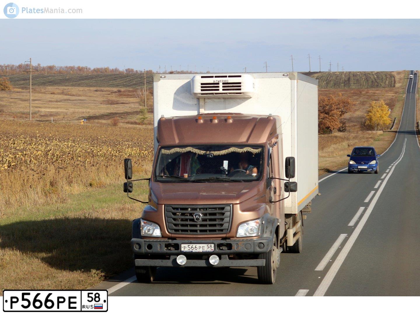Фото автомобиля GAZ 3310 WALDAI, 2018 — госномер Р566РЕ58. Цвет: Коричневый