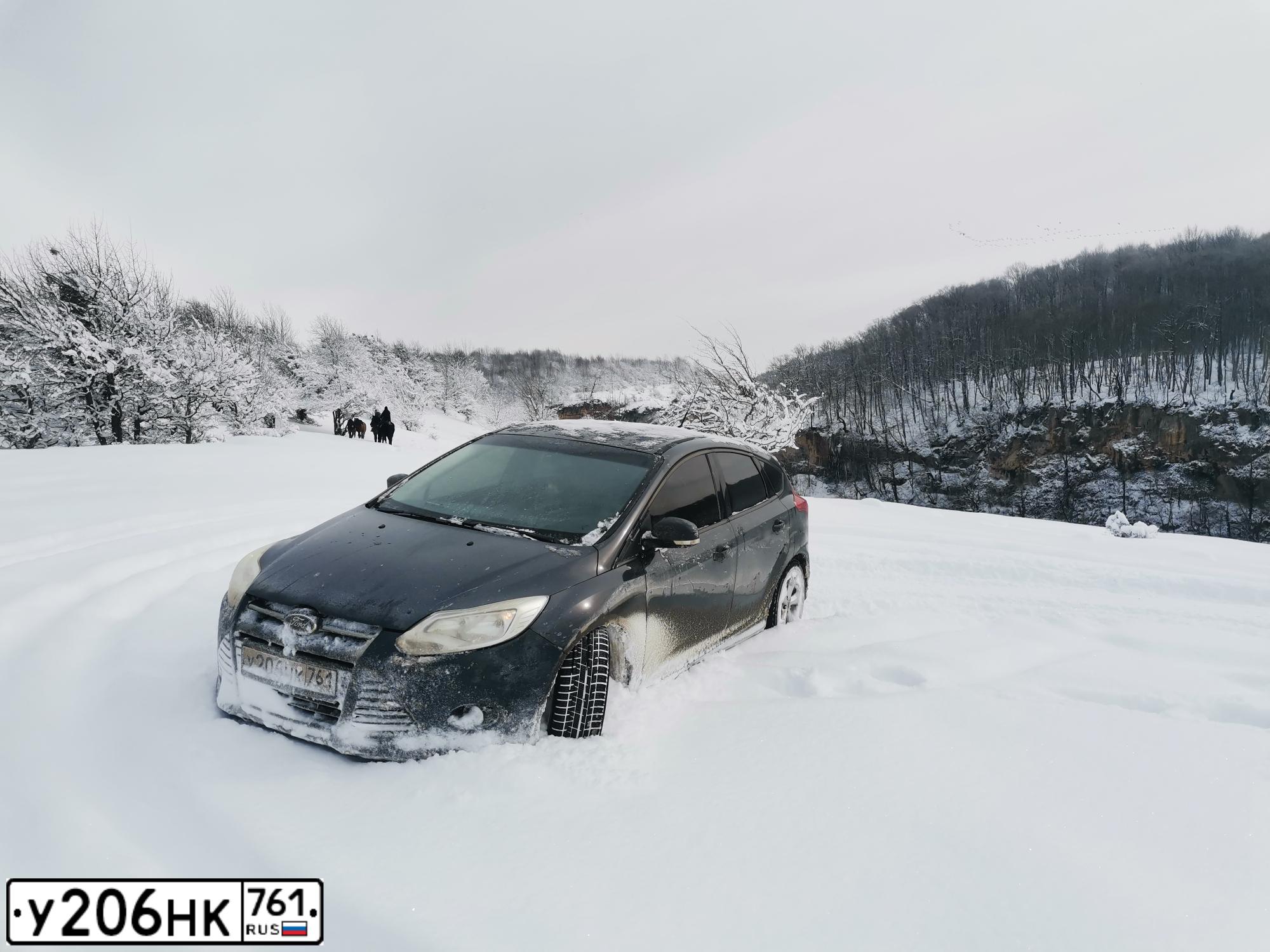 Фото автомобиля FORD FOCUS, 2012 — госномер Р864ВС126