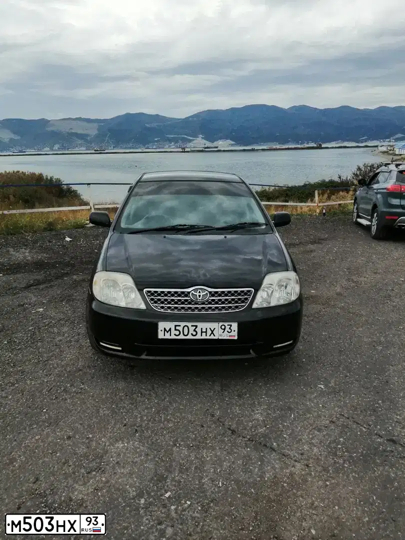 Фото автомобиля TOYOTA COROLLA, 2003 — госномер М503НХ93. Цвет: ЧЕРНЫЙ