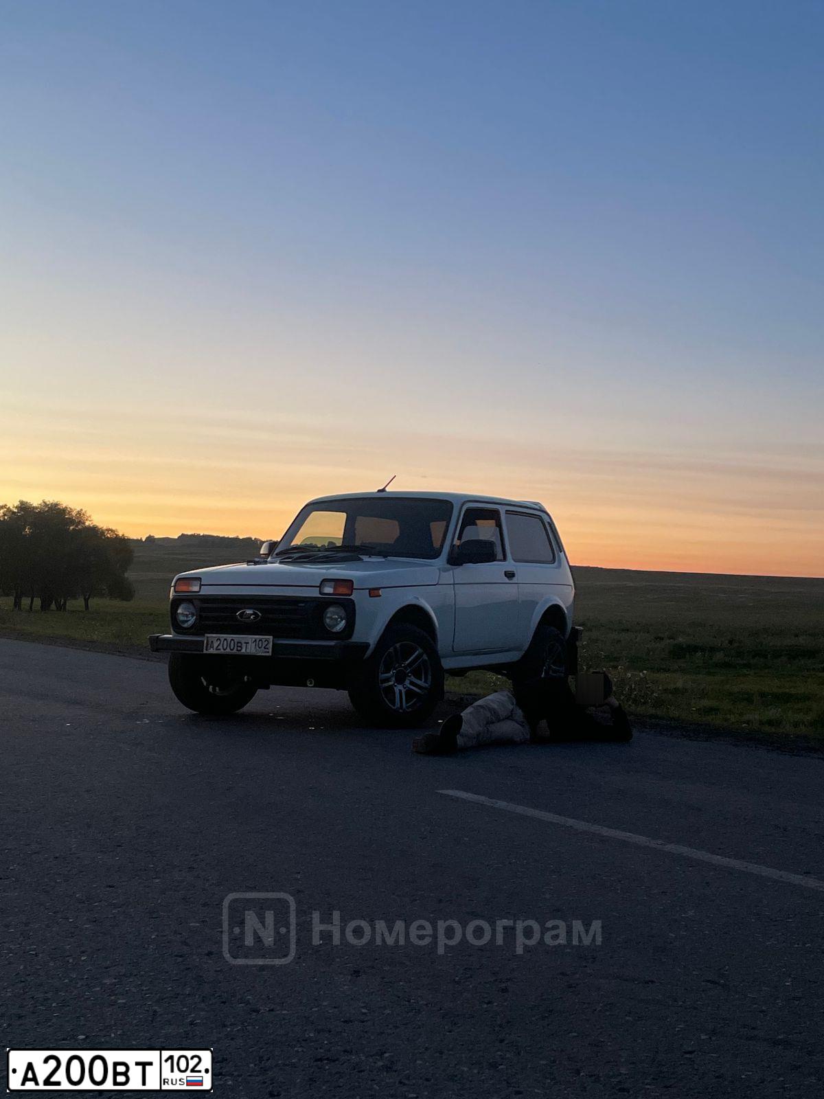 Фото автомобиля LADA NIVA, 2017 — госномер М202АО702