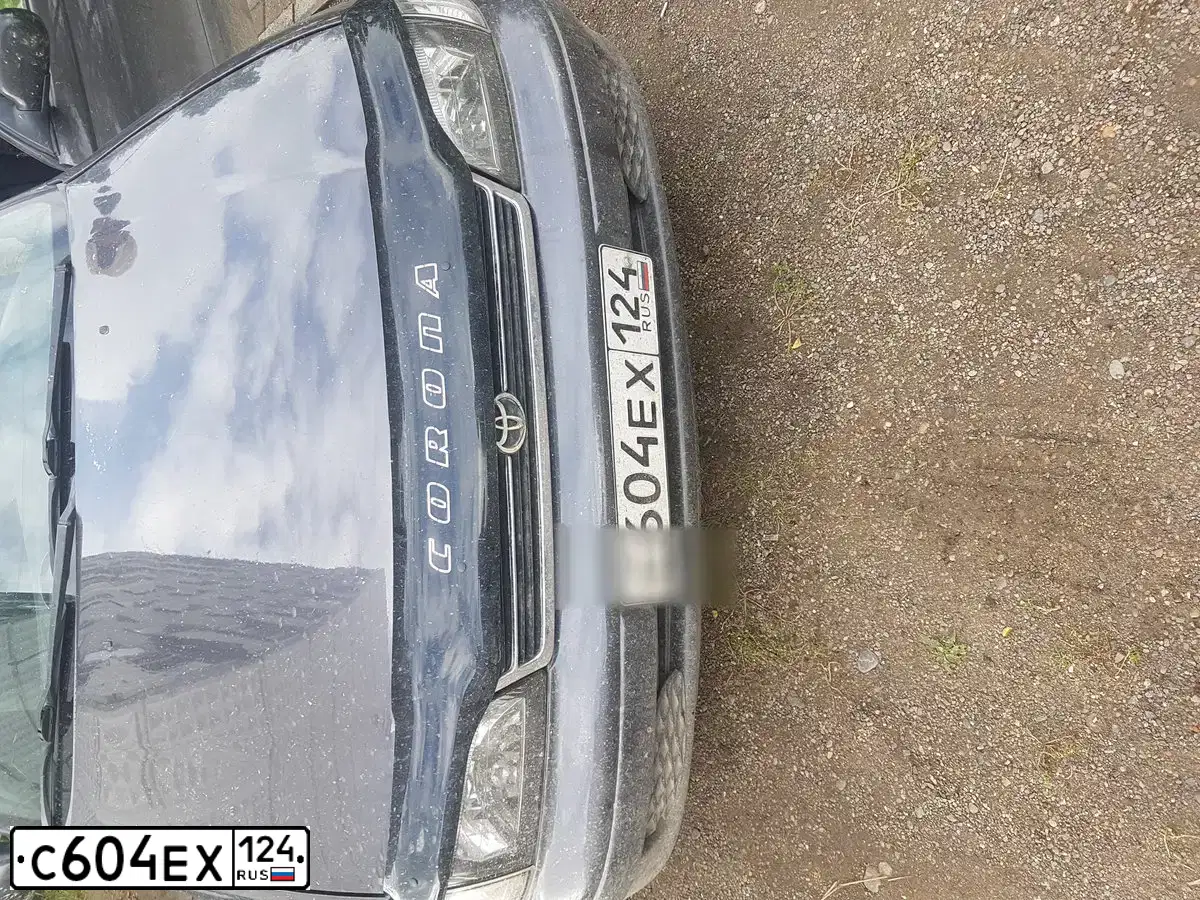 Фото автомобиля TOYOTA CARINA, 1995 — госномер С604ЕХ124. Цвет: СИРЕНЕВЫЙ