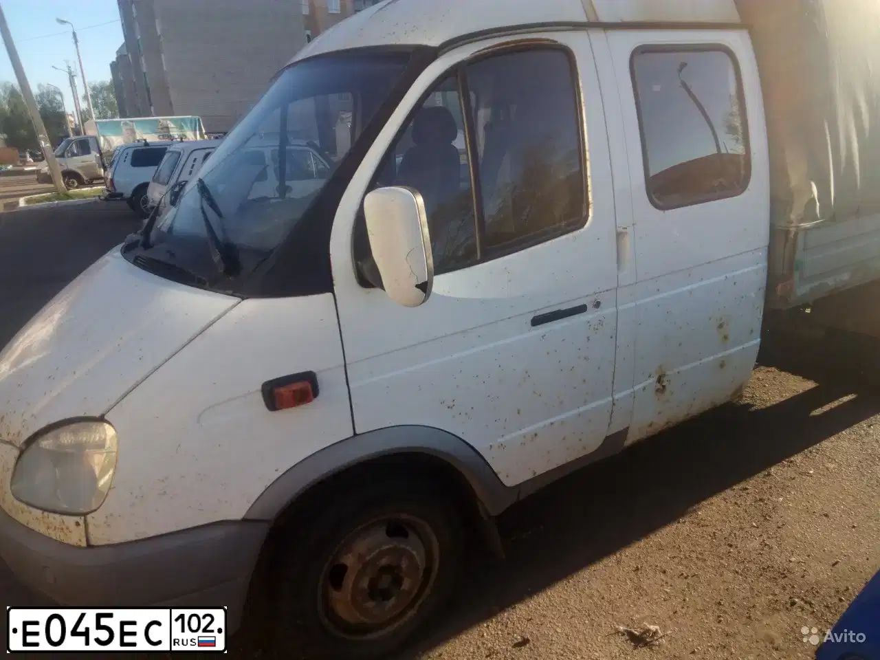 Фото автомобиля GAZ 3302 GAZEL, 2008 — госномер Т141ОЕ152. Цвет: Белый