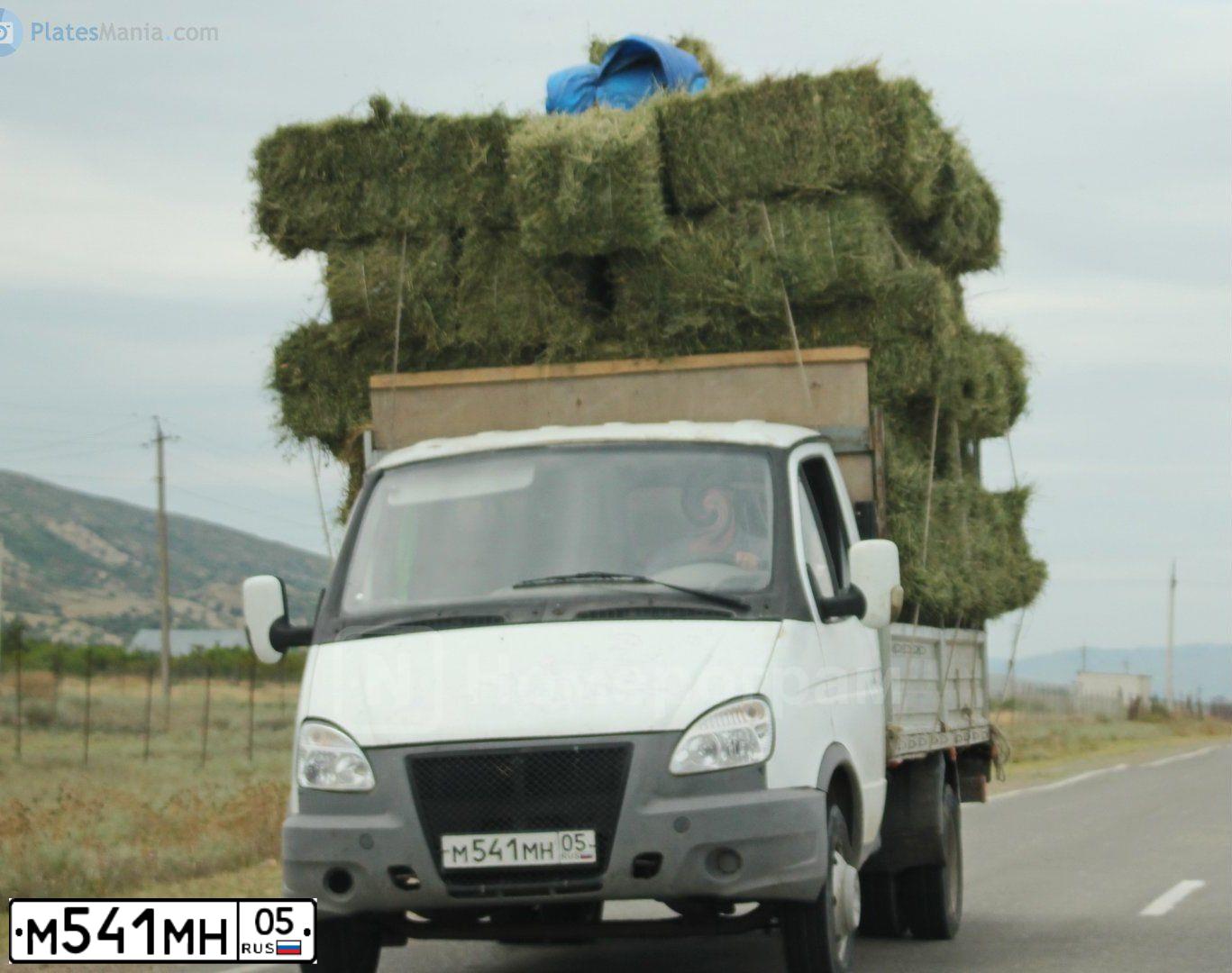 Фото автомобиля GAZ 3302, 2007 — госномер О492УТ33