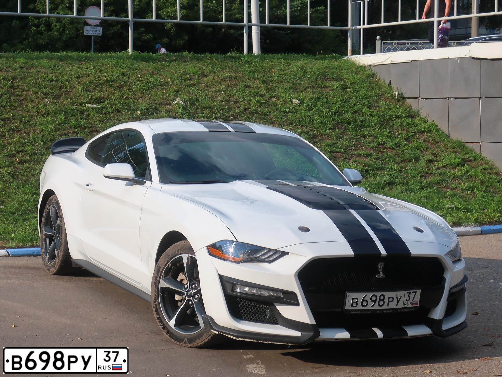 Фото автомобиля FORD MUSTANG, 2017 — госномер В698РУ37. Цвет: Белый