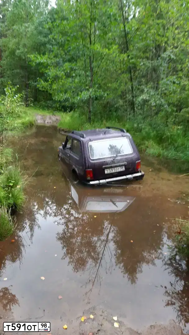 Фото автомобиля LADA 2121 NIVA, 2003 — госномер Х797СУ60. Цвет: ФИОЛЕТОВЫЙ