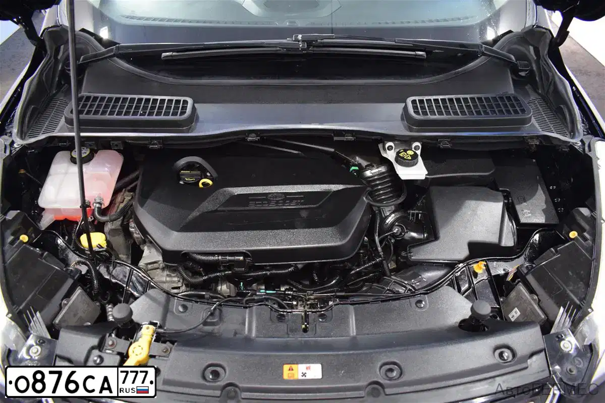 Фото автомобиля FORD KUGA, 2014 — госномер Р119ОК124. Цвет: ЧЕРНЫЙ