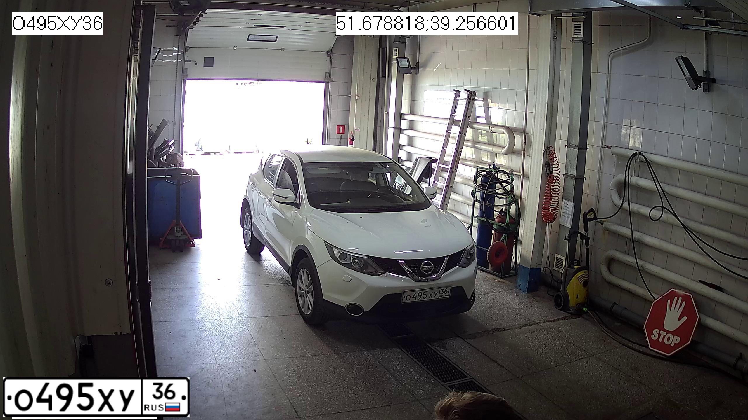 Фото автомобиля NISSAN QASHQAI, 2014 — госномер О495ХУ36. Цвет: БЕЛЫЙ