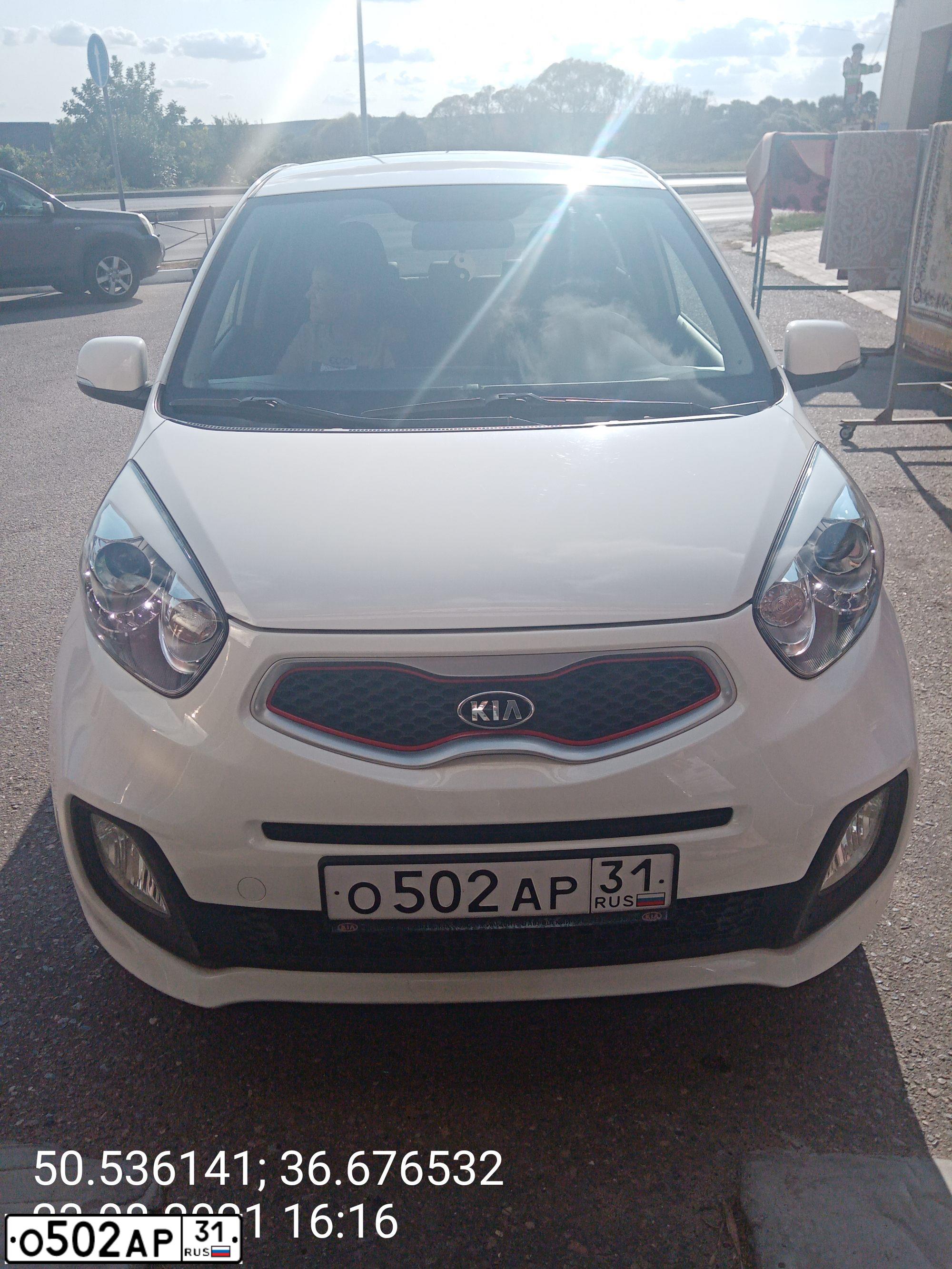 Фото автомобиля KIA PICANTO / MORNING, 2014 — госномер О502АР31. Цвет: БЕЛЫЙ