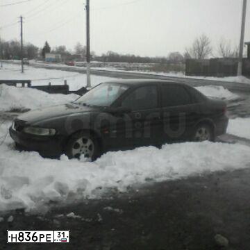 Фото автомобиля OPEL VECTRA, 2000 — госномер С642ВА181. Цвет: Коричневый