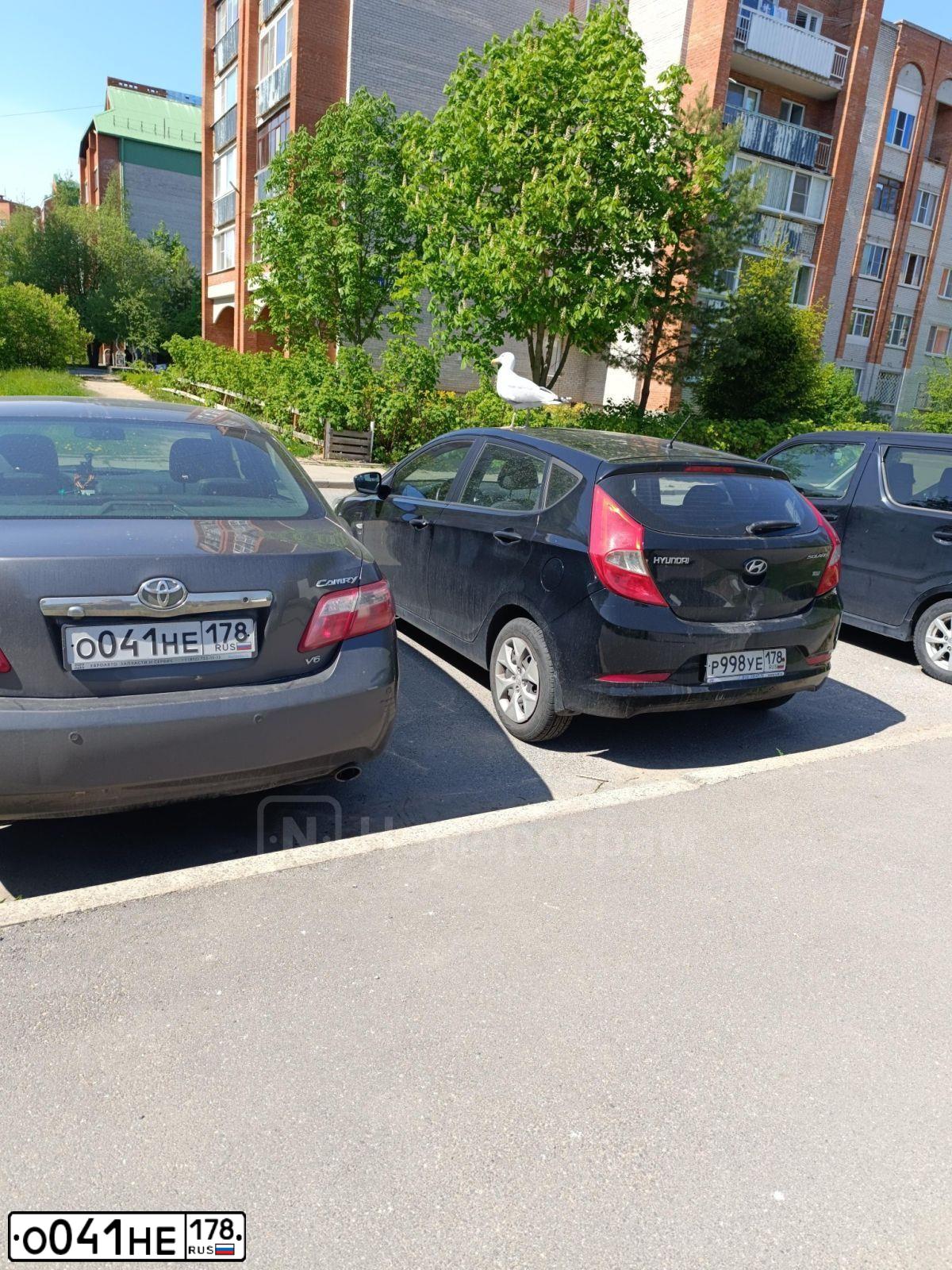 Фото автомобиля TOYOTA CAMRY, 2010 — госномер О041НЕ178. Цвет: СЕРЫЙ МЕТАЛЛИК