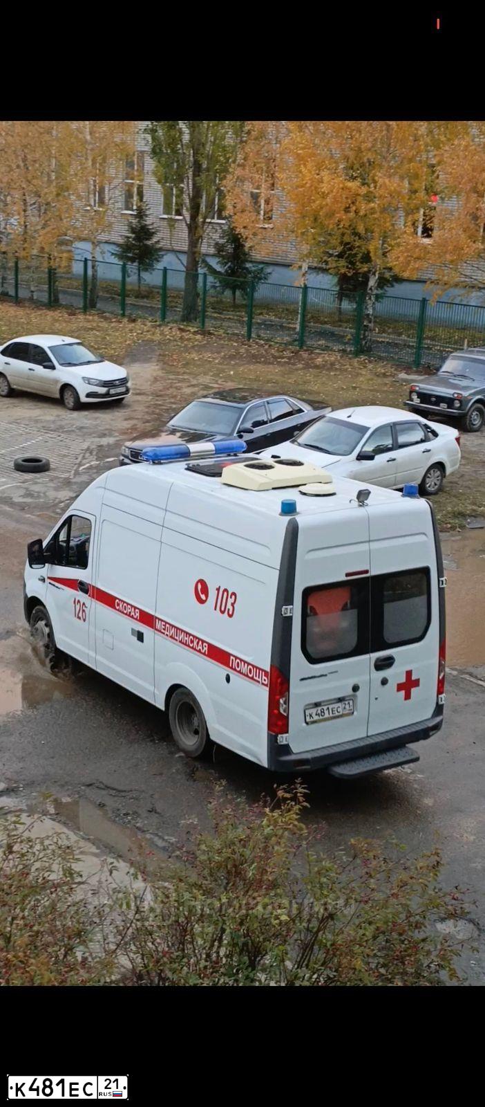 Фото автомобиля GAZ EL NEXT, 2018 — госномер К481ЕС21. Цвет: ГОСТ Р50574-2002