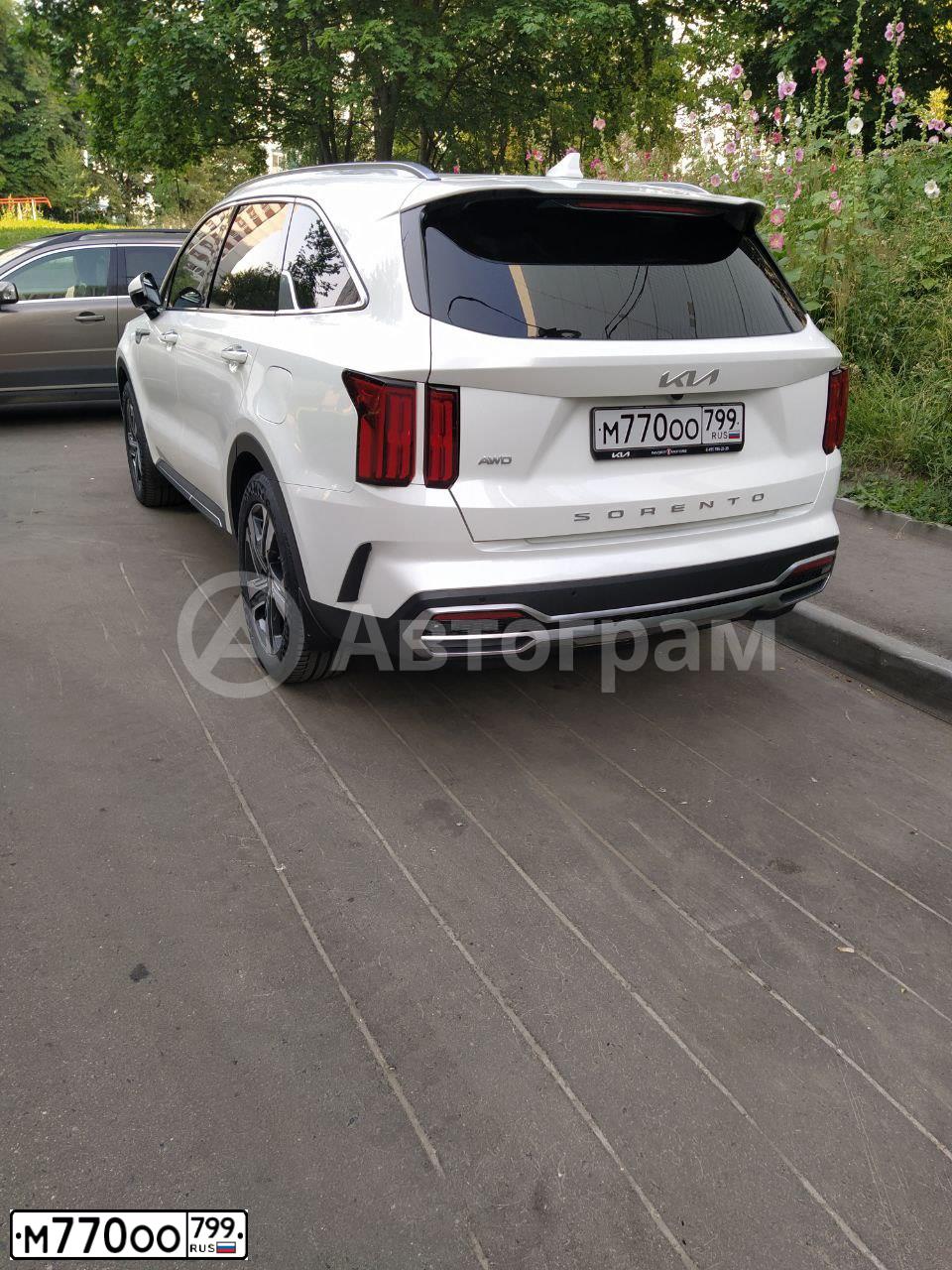 Фото автомобиля KIA SORENTO, 2022 — госномер М770ОО799. Цвет: Белый
